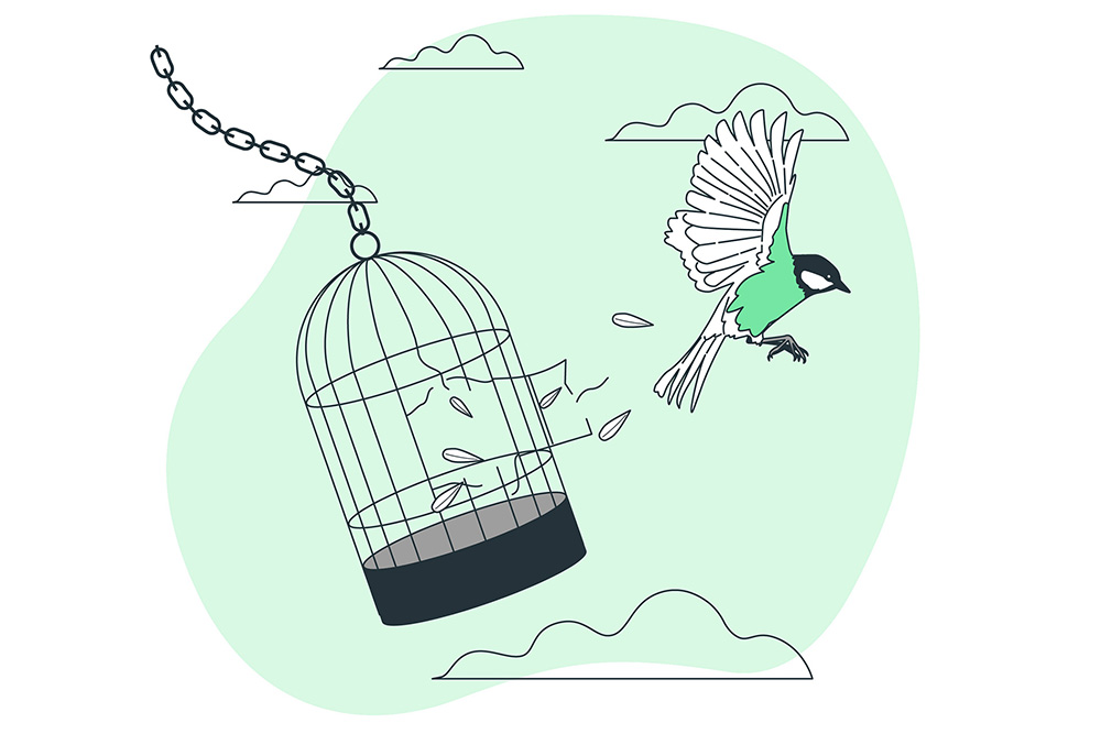 illustration of a bird escaping from a cage