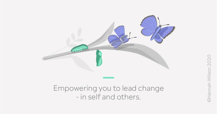 HW Butterfly illustration with words Facebook