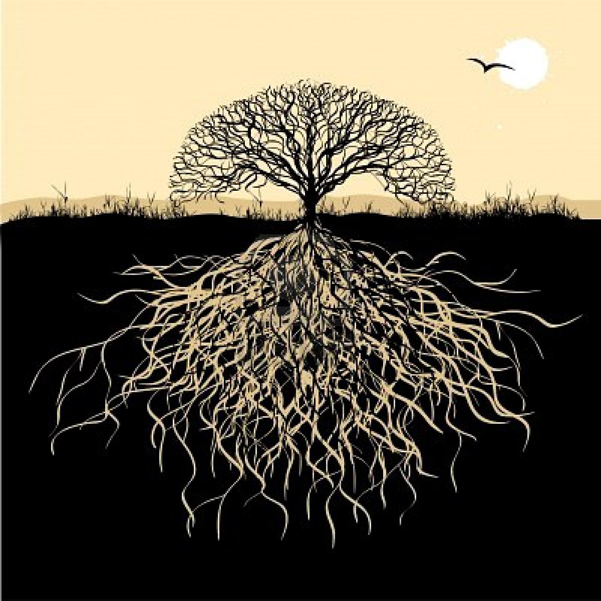 #DailyWritingChallenge Day 51: Roots – Ethical_Leader
